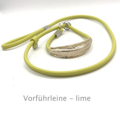 Elegante Show Rundleder Leine mit Stop und Kehlkopfschutz gold 10 cm, Farbe: lime ges. ca. 125 cm