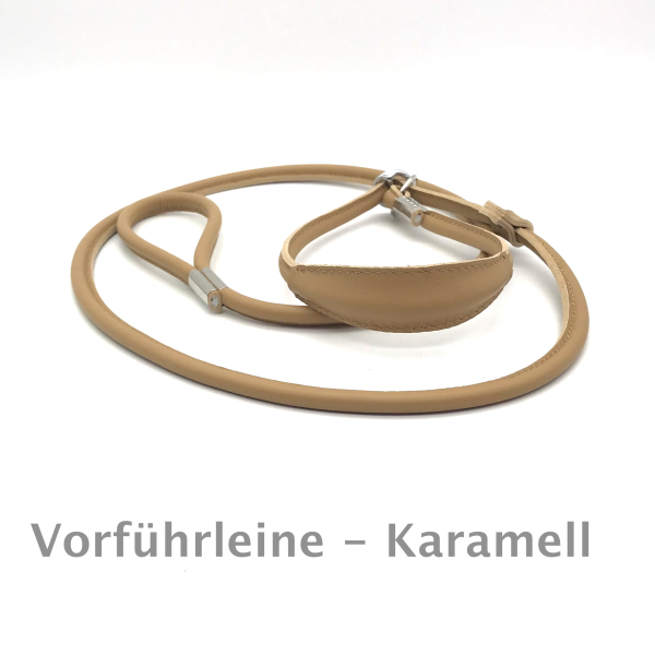 Elegante Show Rundleder Leine mit Stop und Kehlkopfschutz 10 cm, Farbe: karamell ges. ca. 150 cm